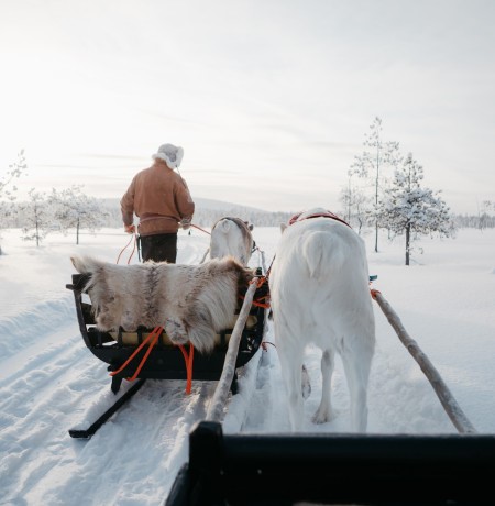 Pyha rendiersledetocht - Fins Lapland - Christoffel Travel