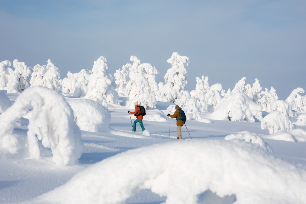 Pyha sneeuwschoenwandeling - Fins Lapland - Christoffel Travel