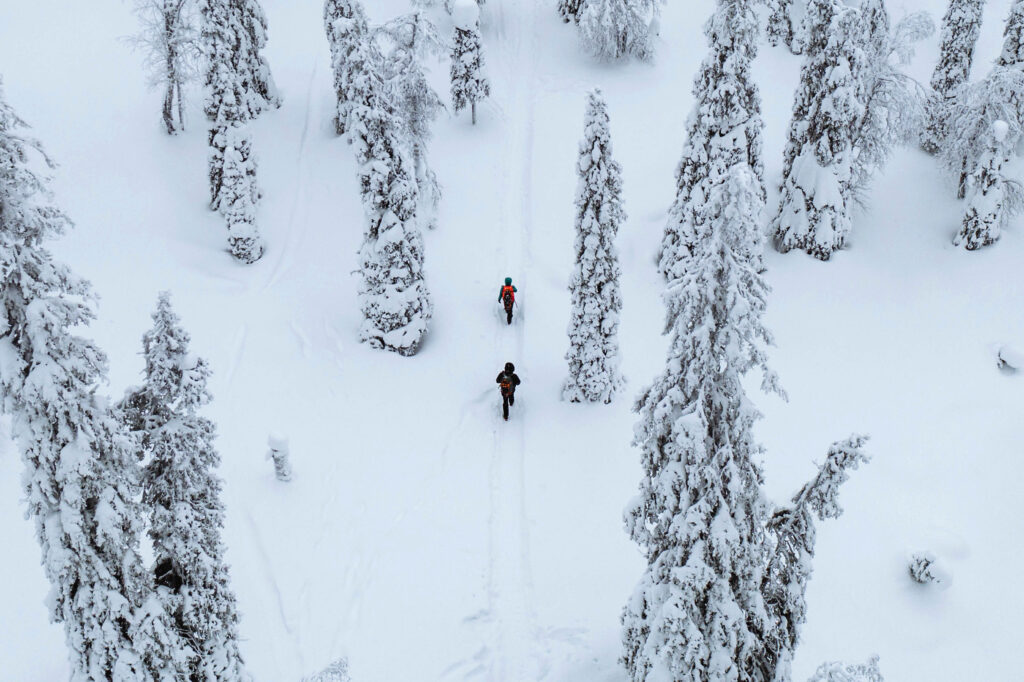 Winters landschap - Lapland - Christoffel Travel