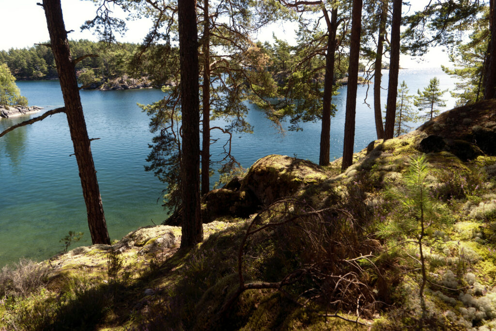 National Park Tiveden - Zweden - vakantie - Christoffel Travel