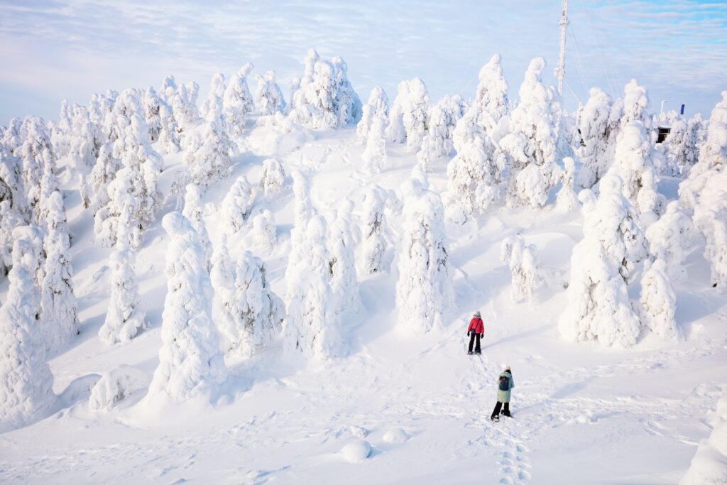 wandeling Fins Lapland - luxe reis - Christoffel Travel