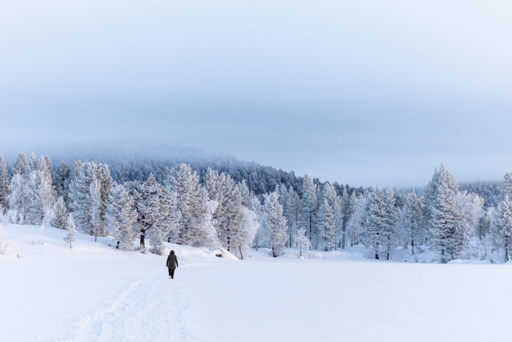 landschap-zweeds-lapland-natuur-winter-christoffel-travel