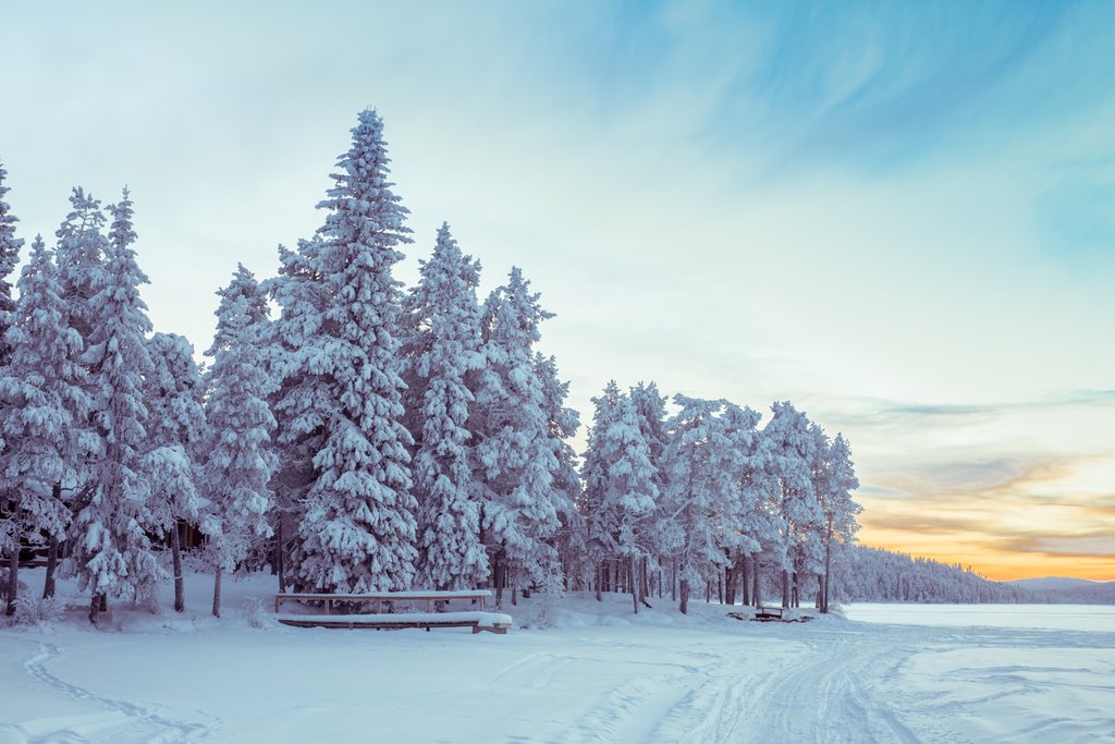 Landschap Fins Lapland - Christoffel Travel