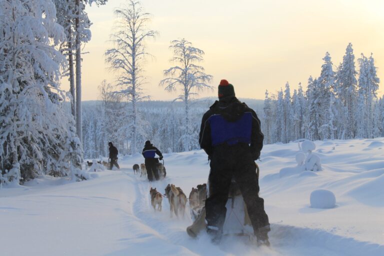Luxe winterbreak Fins Lapland - Christoffel Travel