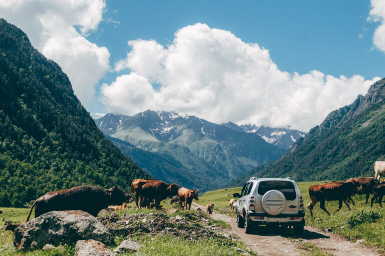 vakantie Montenegro - jeep - Christoffel Travel