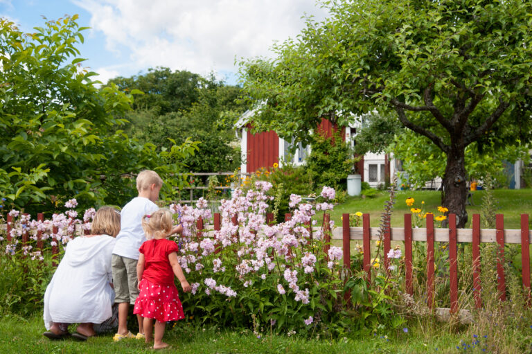 Zomers Zweden met kinderen - vakantie - Christoffel Travel
