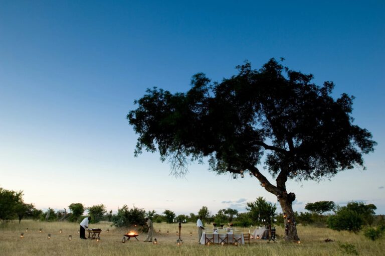 Ultra-luxe andBeyond Tengile River Lodge in Sabi Sand Game Reserve, aangeboden door Christoffel Travel.