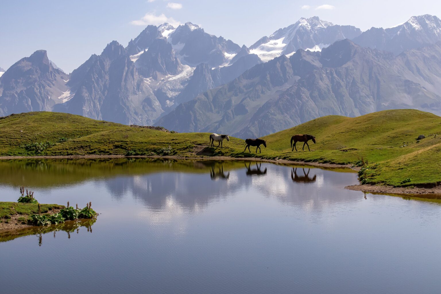 georgie-koruldi-meer-scaled.jpg