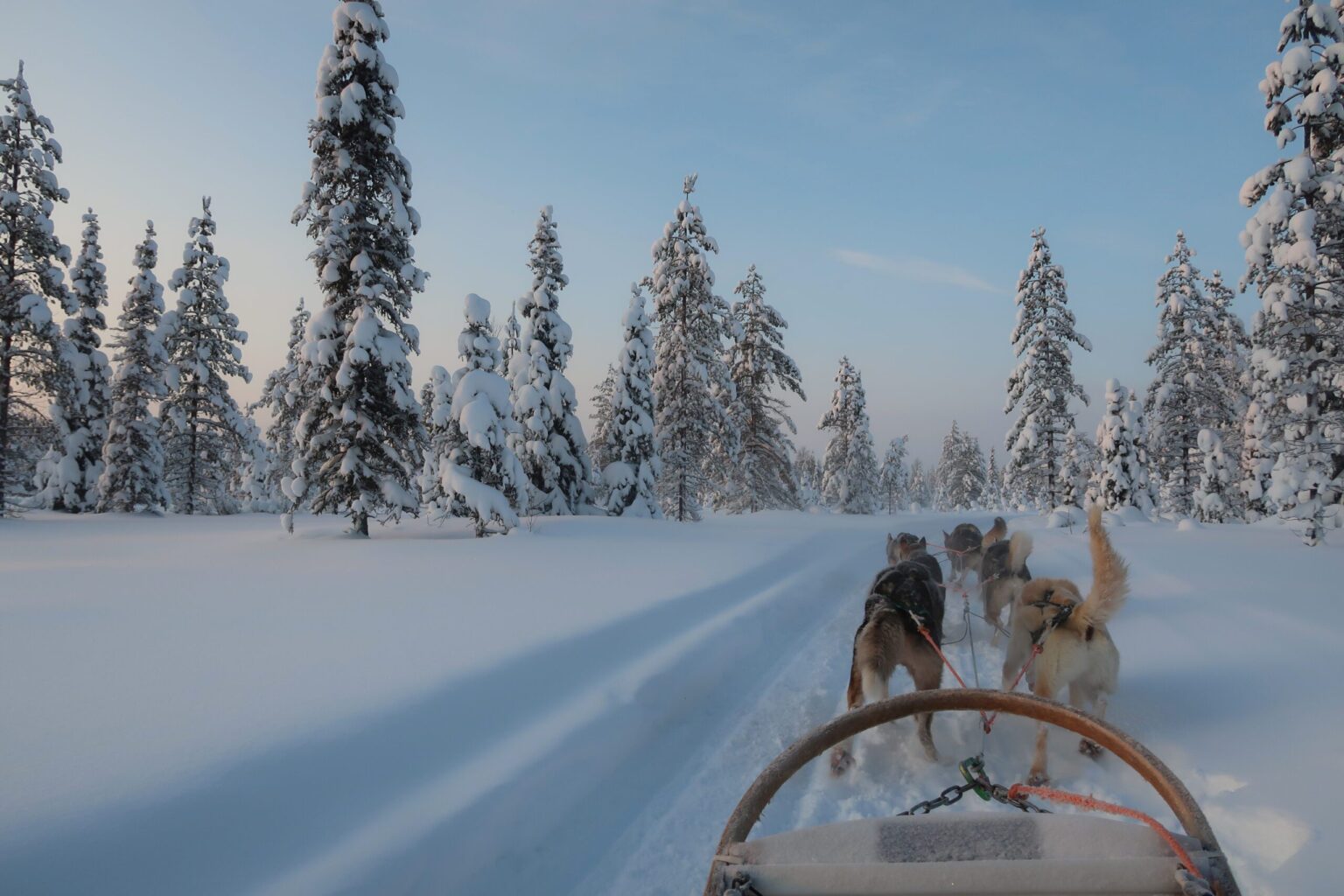huskysafari-lapland-finland-christoffel-travel-scaled.jpg